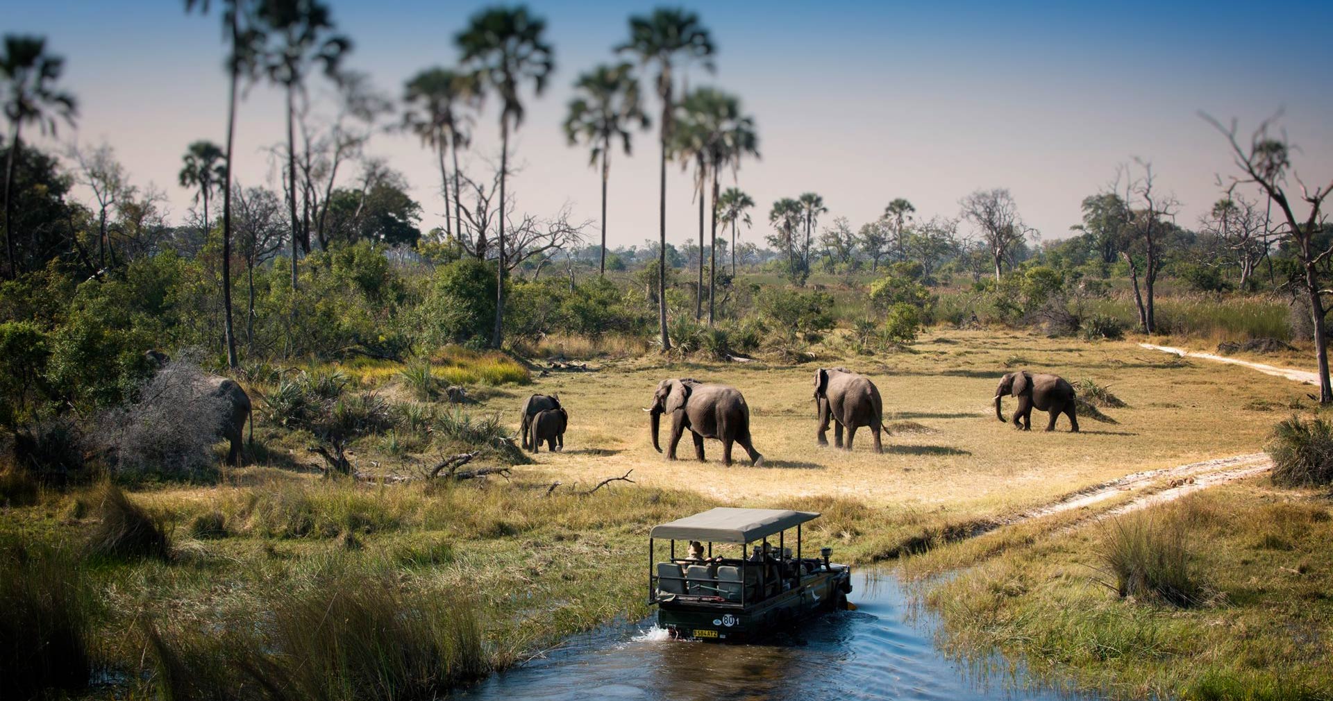 Sojourn Safaris Limited
