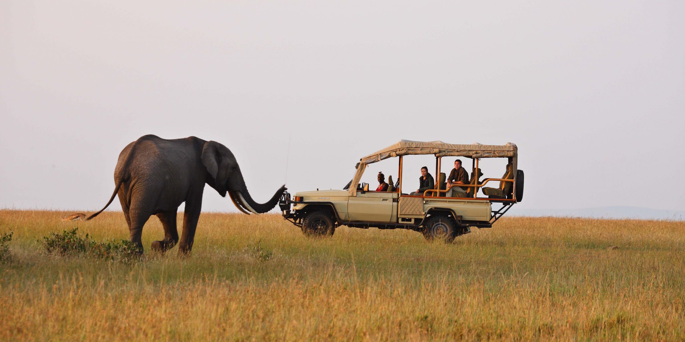 Sojourn Safaris Limited