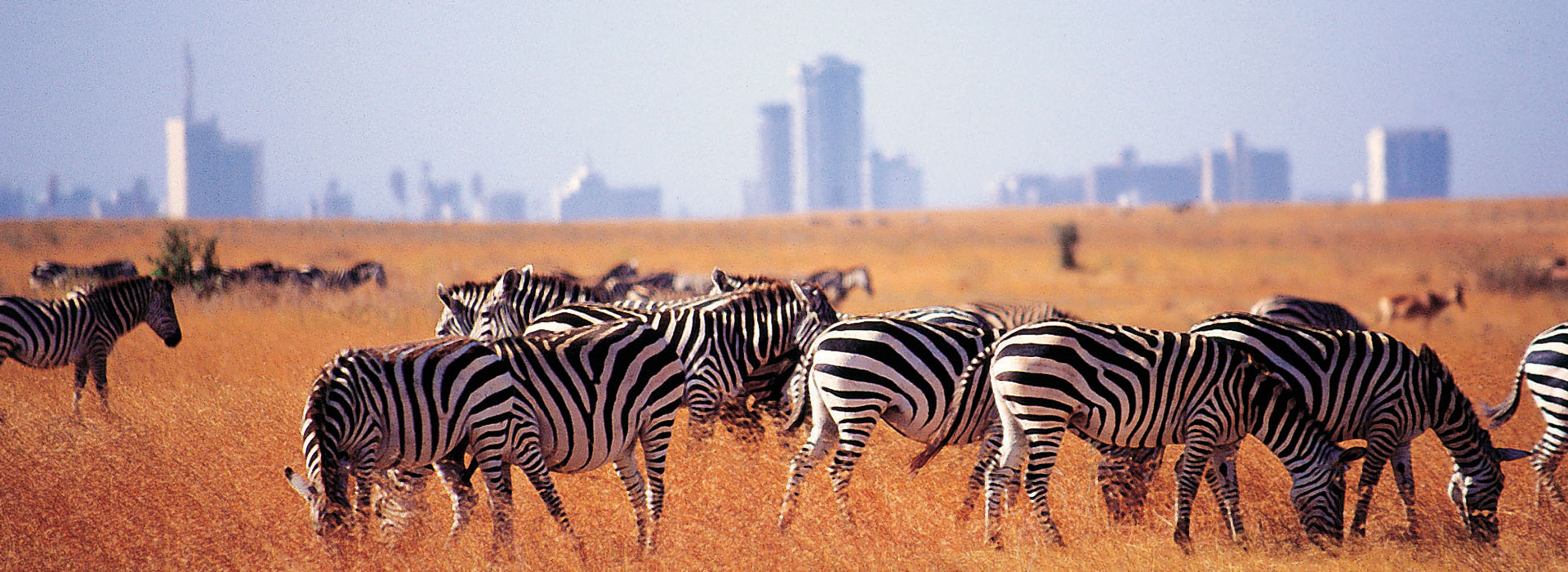 Nairobi-National-Park-3