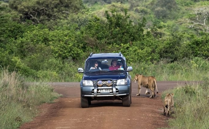 self drive safaris in kenya
