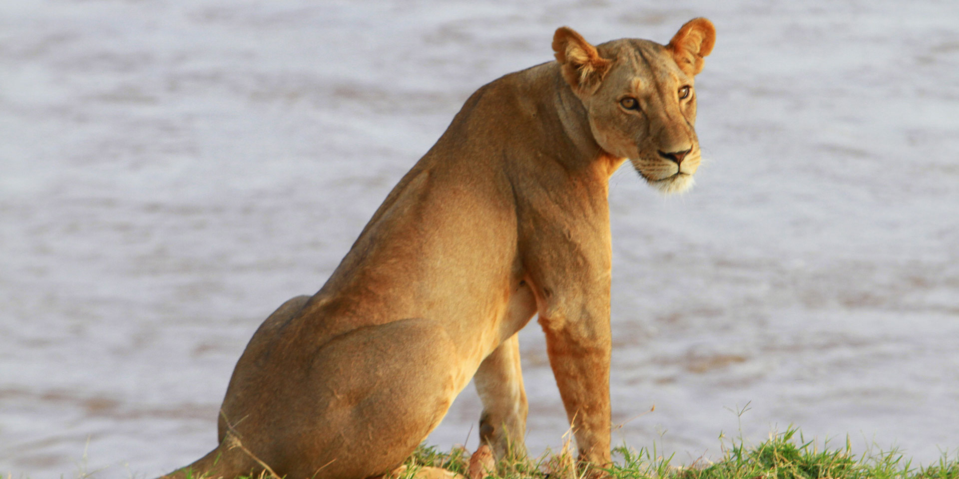 samburu masai mara family safari