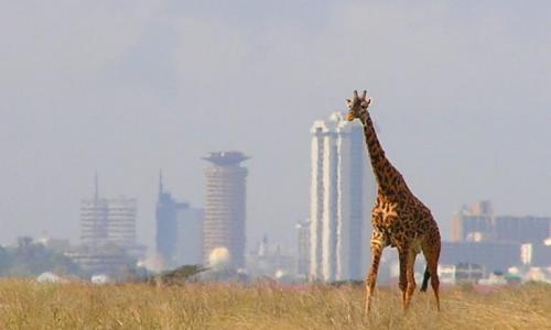 Sojourn Safaris Limited