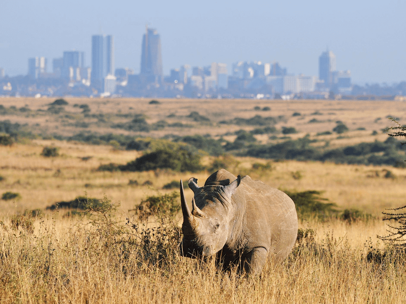 Sojourn Safaris Limited