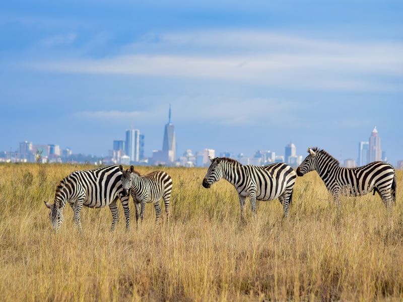 Sojourn Safaris Limited