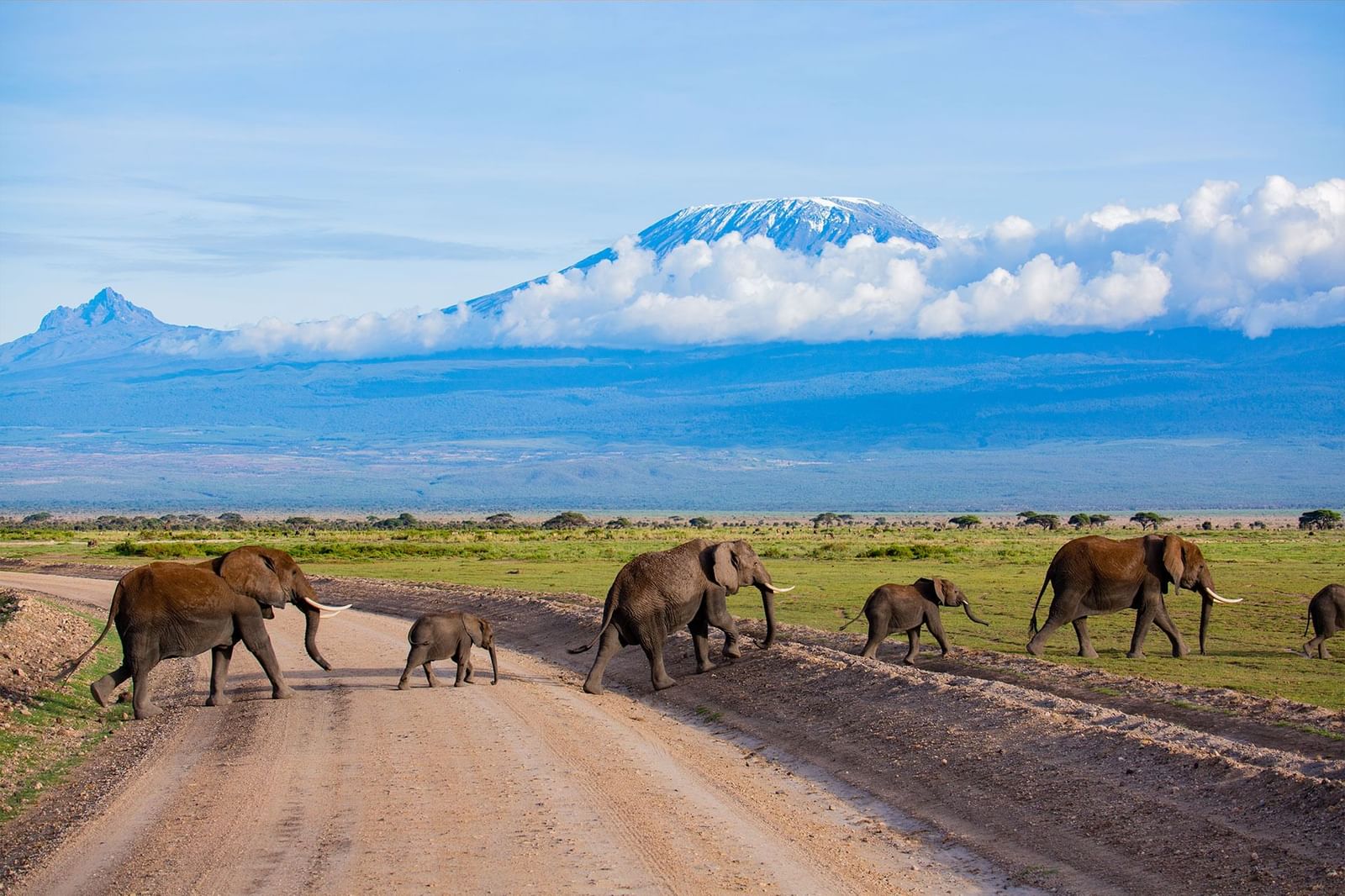 elephants-kilimanjaro-photo-safari-in-amboseli
