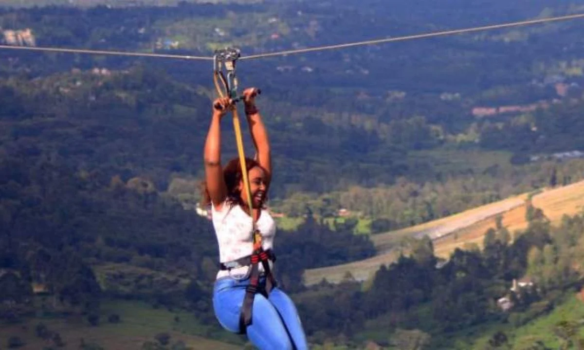 Day Trip Zip Lining & Paint Balling 1Day Tours at the Forest in