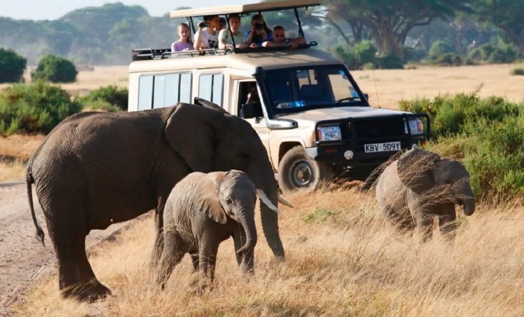 Family Friendly Group Joining 3 Days Masai Mara Safari