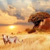 photographic-3-days-masai-mara-group-joining-safaris